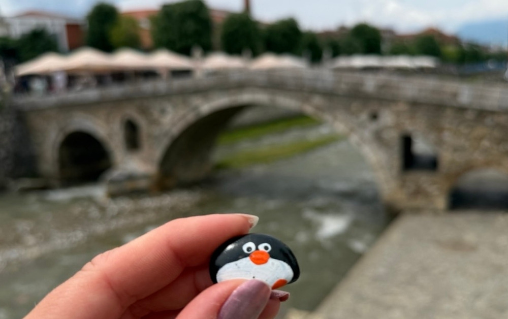 Hand-painted penguin stone #1099 hidden at Old Stone Bridge, Prizren, Kosovo (photo 1 of 4)