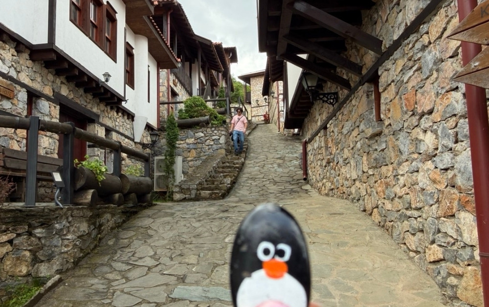 Hand-painted penguin stone #1116 hidden at Stone House, Macedonian Village, North Macedonia (photo 1 of 3)