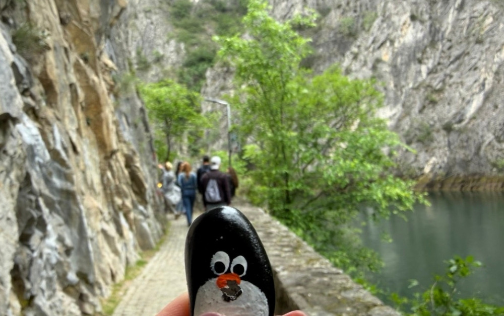 Hand-painted penguin stone #1128 hidden at Mladen Stojanovski, Gorno Nerezi, North Macedonia (photo 1 of 5)
