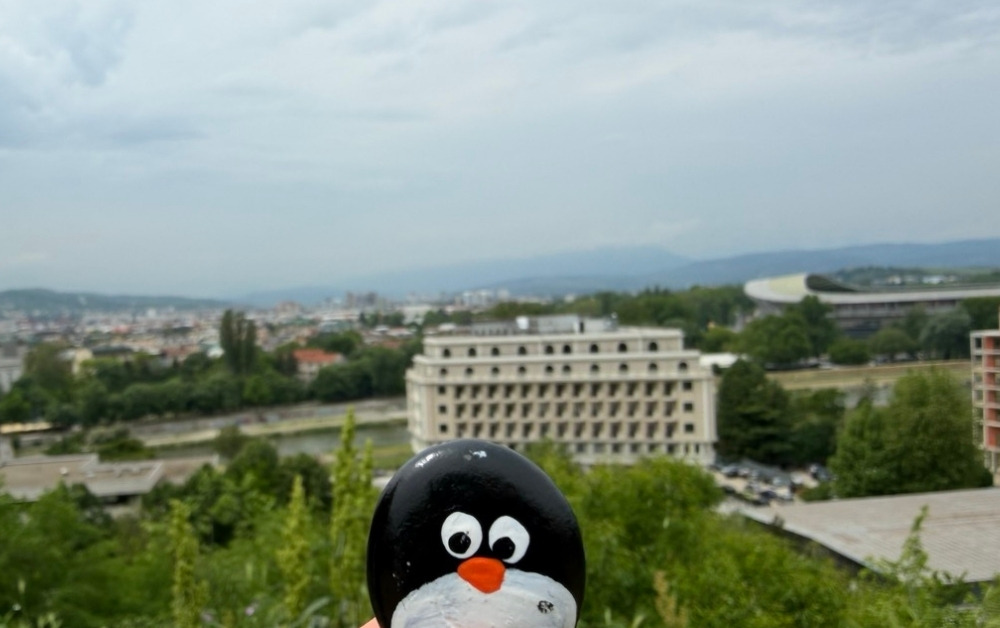 Hand-painted penguin stone #1130 hidden at Rocks at Skopje Fortress, Skopje, North Macedonia (photo 1 of 5)