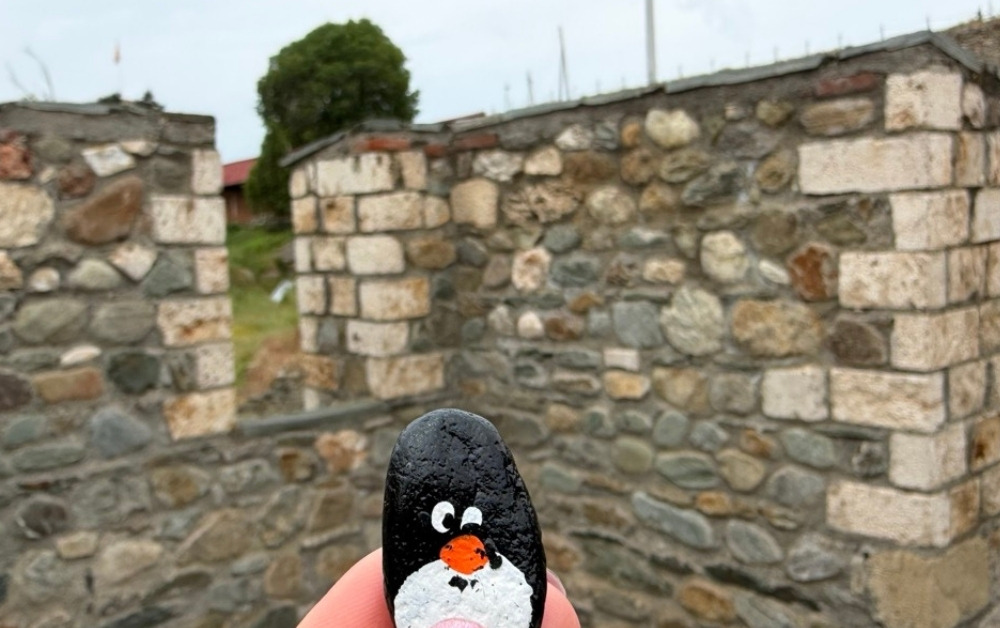 Hand-painted penguin stone #1137 hidden at Fortress View Point, Skopje, North Macedonia (photo 1 of 5)