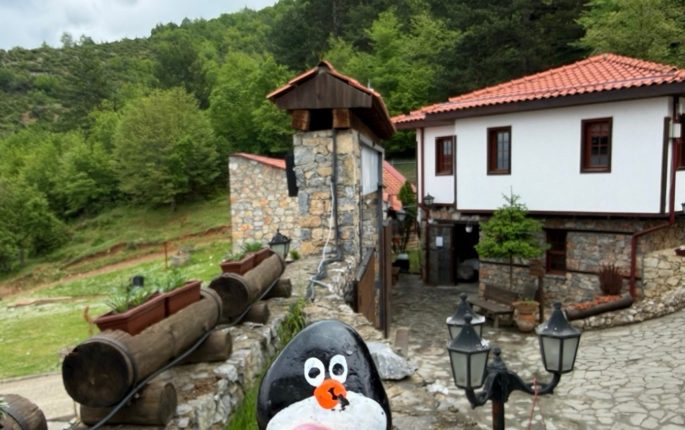 Hand-painted penguin stone #1155 hidden at Stone Wall, Macedonian Village, North Macedonia (photo 1 of 4)