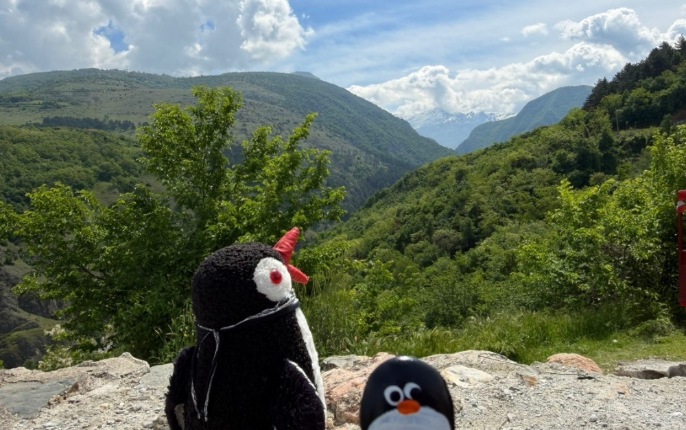 Hand-painted penguin stone #1163 hidden at Stone wall at Prizren Fortress, Prizren, Kosovo (photo 1 of 4)