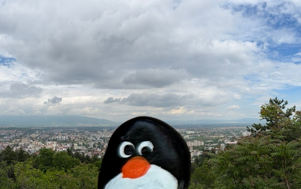 Hand-painted penguin stone #1171 hidden at Panorama Viewpoint, Skopje, North Macedonia (photo 1 of 4)