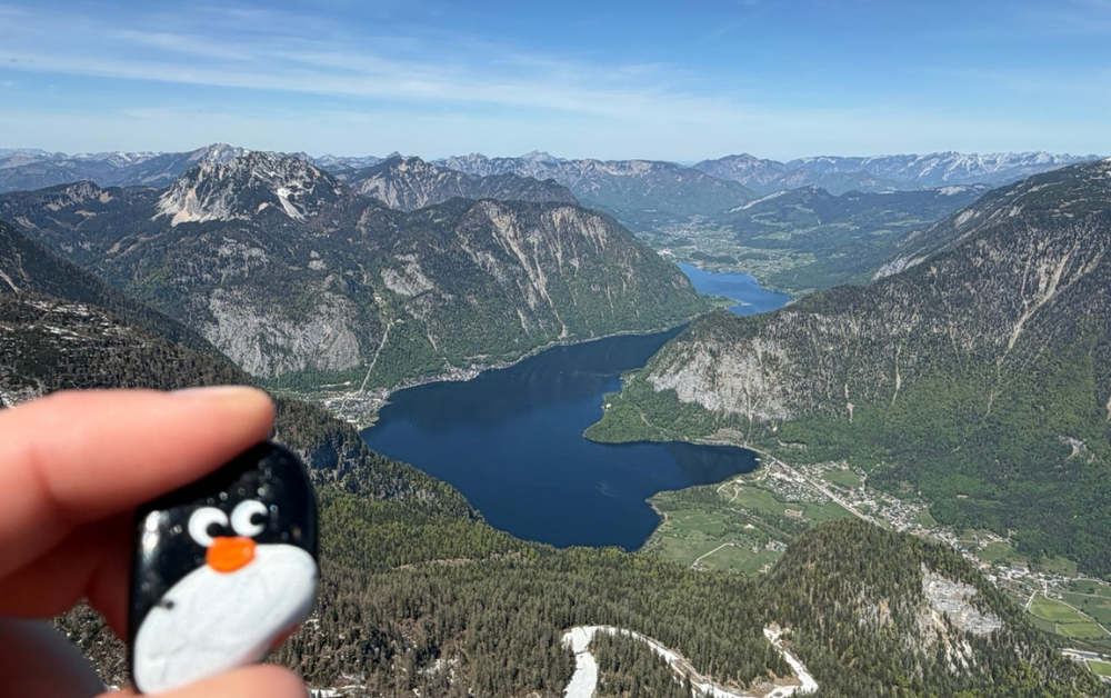 Hand-painted penguin stone #1175 hidden at 5 Fingers, Obertraun, Austria (photo 1 of 5)