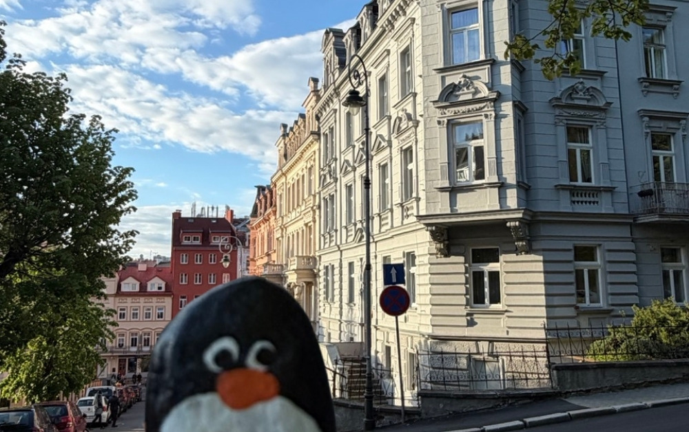 Hand-painted penguin stone #1177 hidden at Traffic Sign, Karlove Vary, Czechia (photo 1 of 5)
