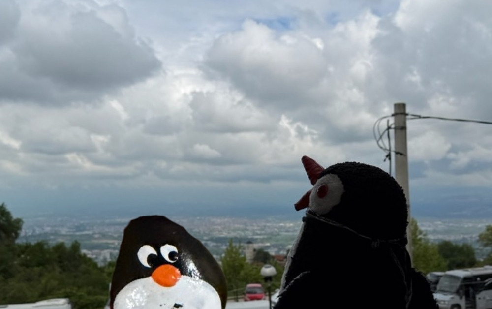 Hand-painted penguin stone #1178 hidden at Hidden Viewpoint, Macedonian Village, North Macedonia (photo 1 of 5)