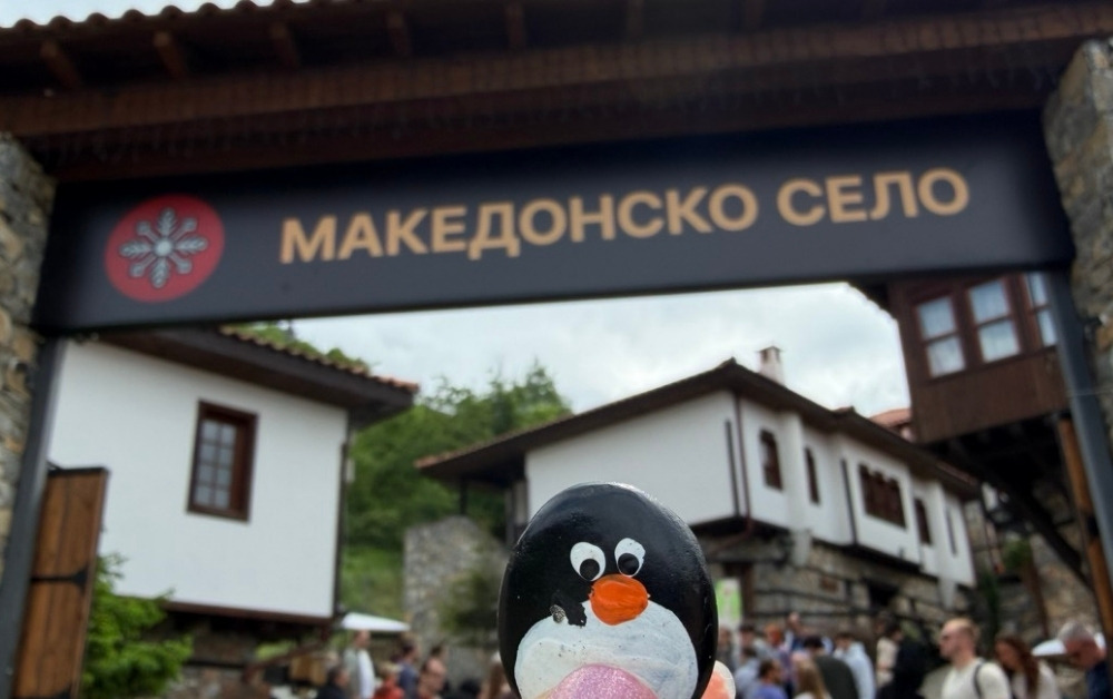 Hand-painted penguin stone #1179 hidden at Entrance Gate, Macedonian Village, North Macedonia (photo 1 of 4)