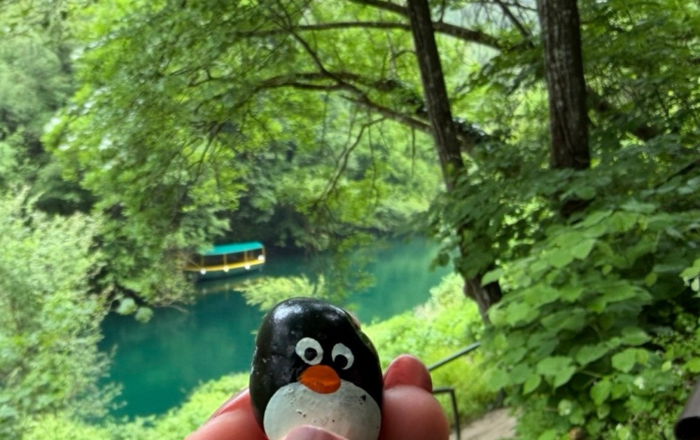 Hand-painted penguin stone #1181 hidden at Bush close to Vrelo Cave, Matka Canyon, North Macedonia (photo 1 of 4)