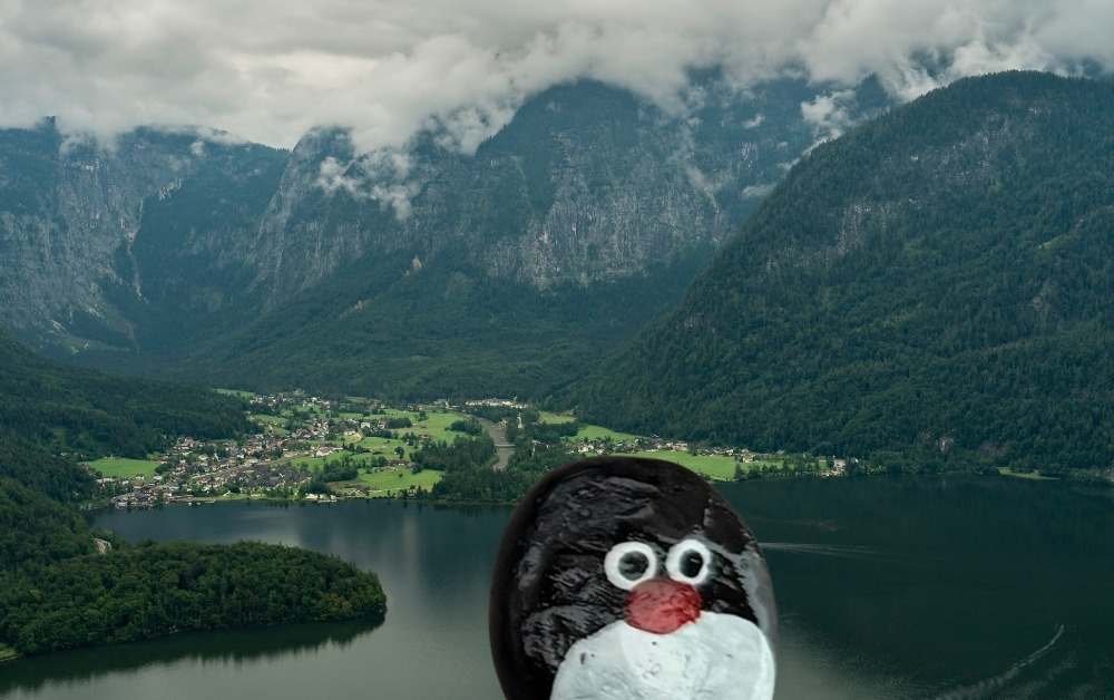 Hand-painted penguin stone #1189 hidden at Hallstatter See, Obertraun, Austria (photo 1 of 5)