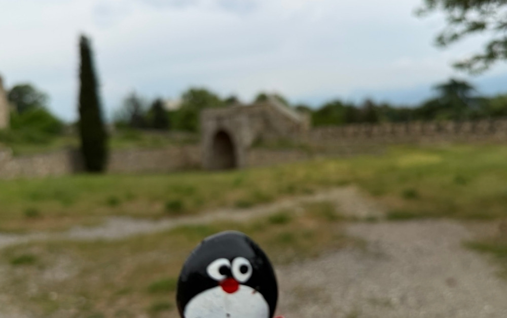Hand-painted penguin stone #1192 hidden at Parking Lot, Skopje, North Macedonia (photo 1 of 4)