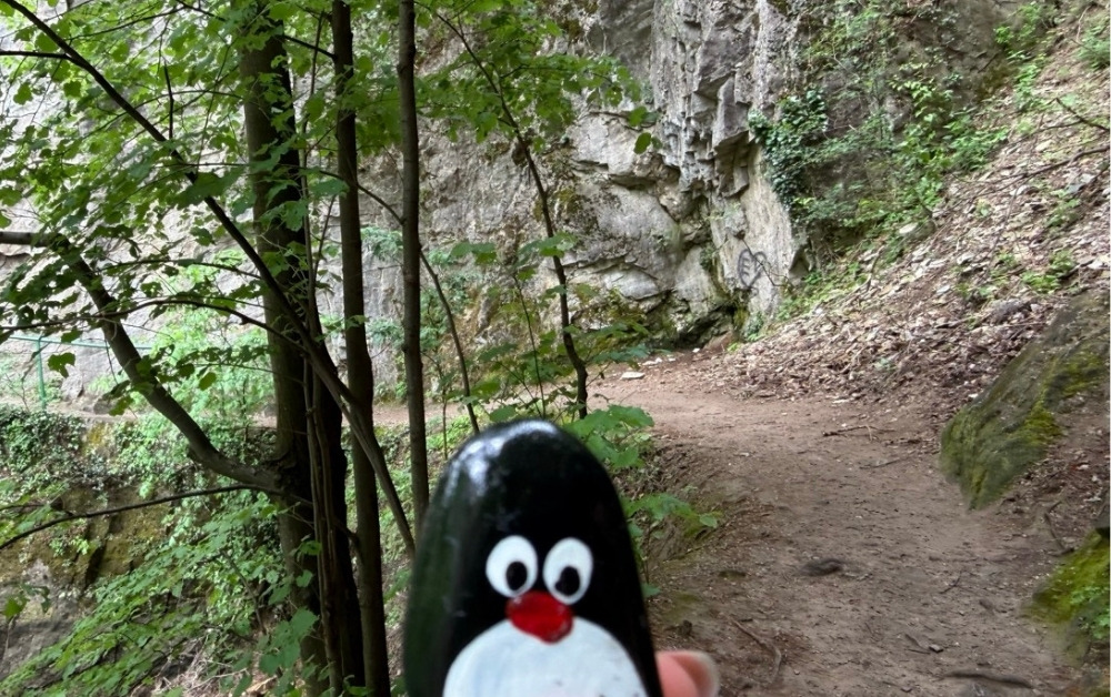 Hand-painted penguin stone #1206 hidden at Monastery of St. Andrea, Matka Canyon, North Macedonia (photo 1 of 5)