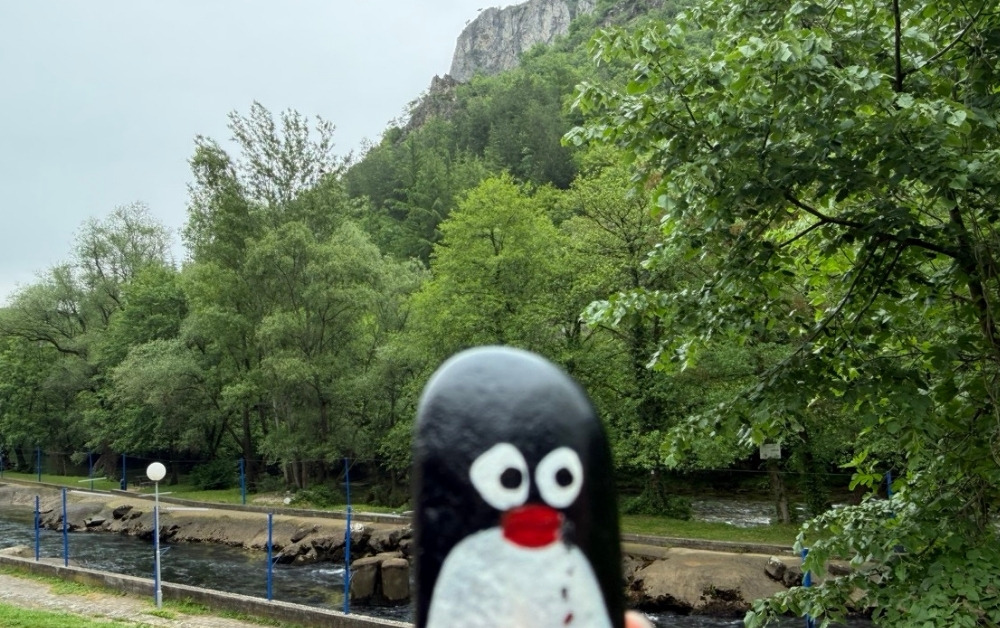 Hand-painted penguin stone #1209 hidden at Rocks, Matka Canyon, North Macedonia (photo 1 of 5)