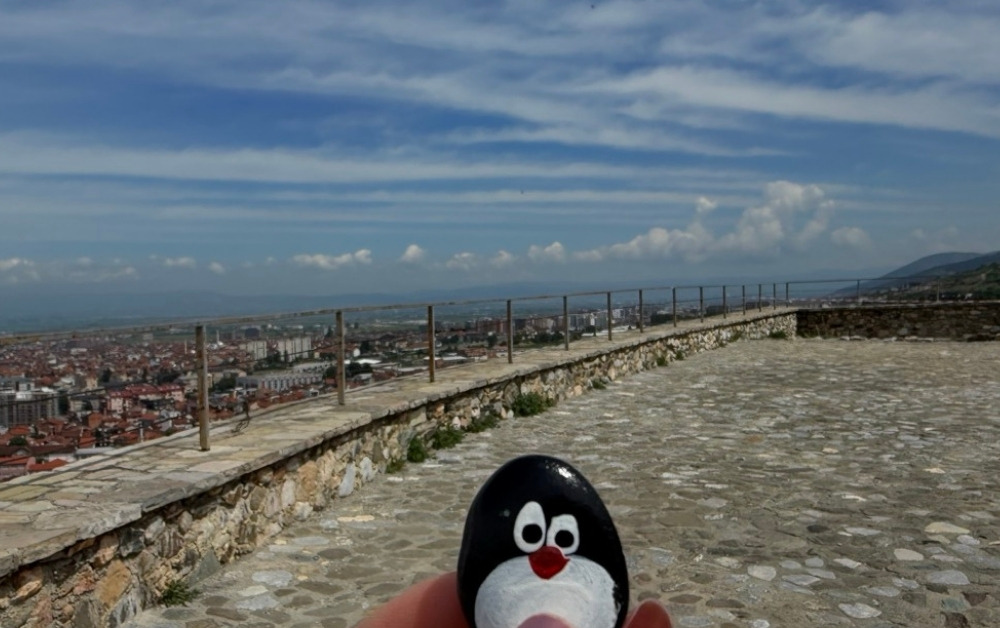 Hand-painted penguin stone #1215 hidden at Viewpoint, Prizren Fortress, Kosovo (photo 1 of 5)