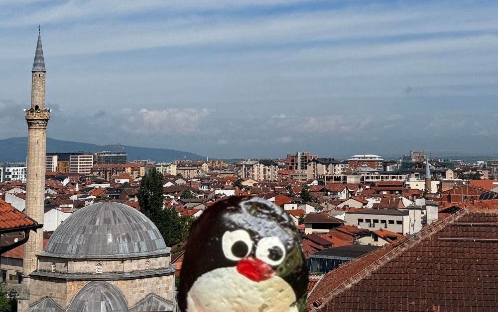 Hand-painted penguin stone #1225 hidden at Walkway to the Citadel, Prizren, Kosovo (photo 1 of 5)