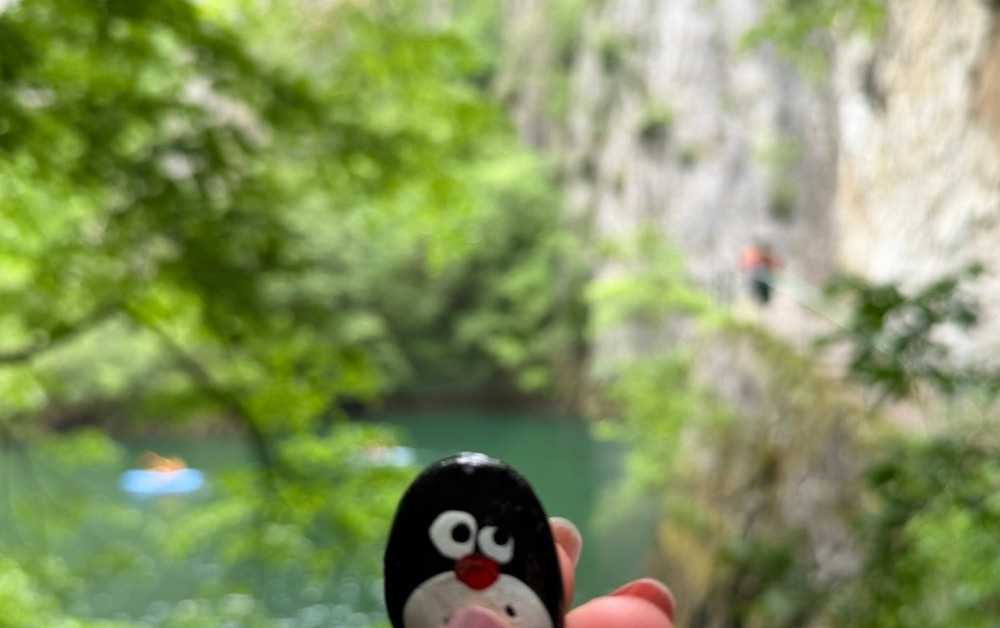 Hand-painted penguin stone #1274 hidden at Rock Wall, Matka Canyon, North Macedonia (photo 1 of 4)