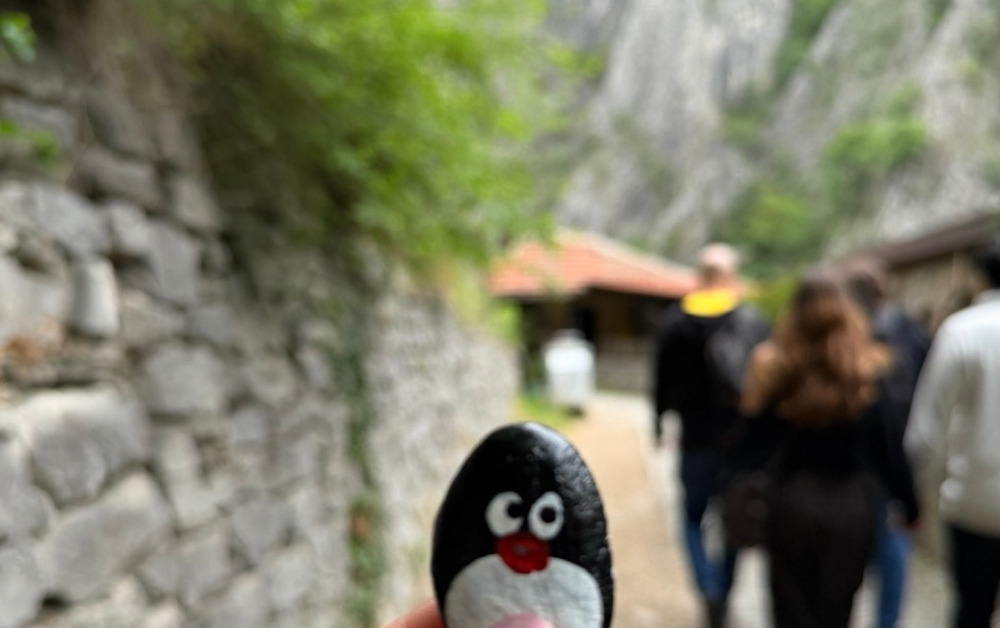 Hand-painted penguin stone #1297 hidden at Ticket Booth, Matka Canyon, North Macedonia (photo 1 of 4)