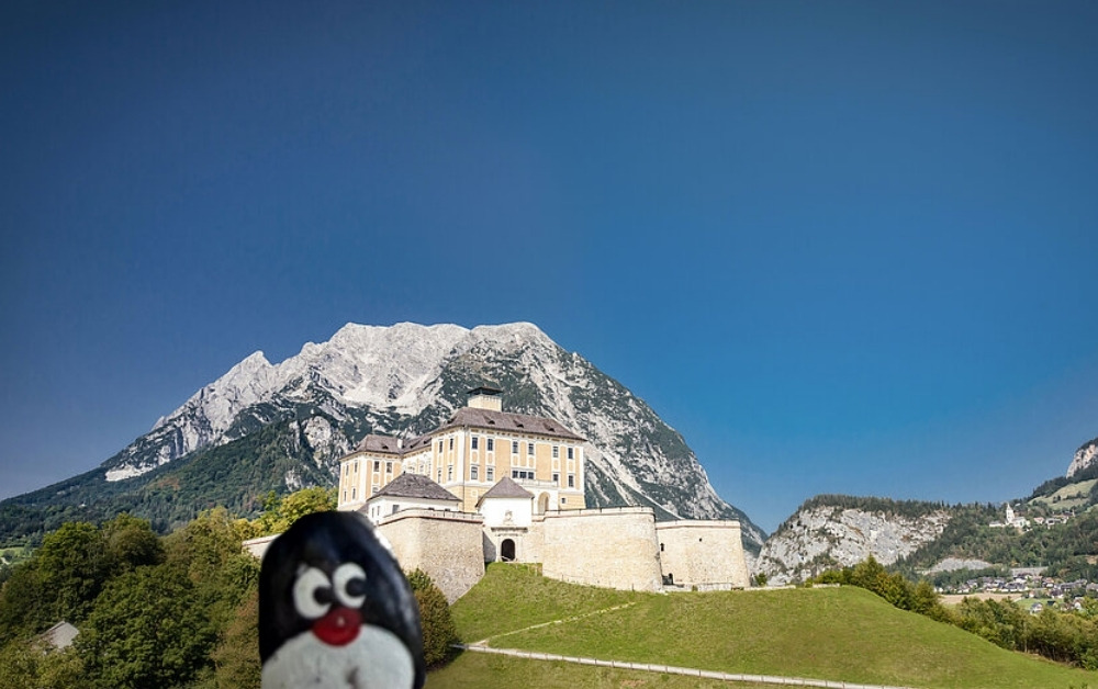 Hand-painted penguin stone #1300 hidden at Schloss Trautenfels, Purgg, Austria (photo 1 of 5)