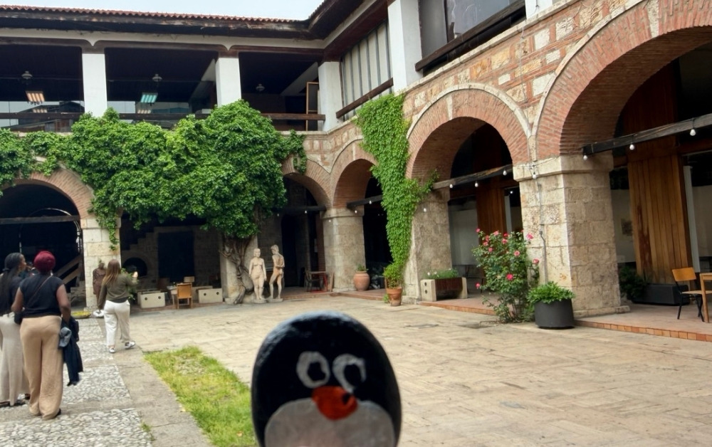 Hand-painted penguin stone #1334 hidden at Faculty of Visual Arts, Skopje, North Macedonia (photo 1 of 5)