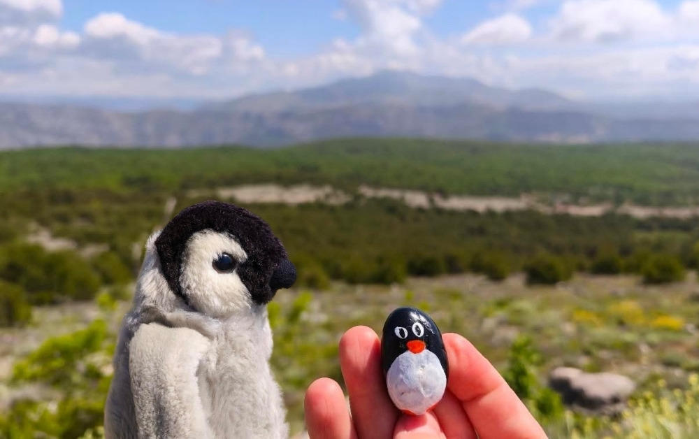Hand-painted penguin stone #325 hidden at Srd Mountain, Dubrovnik, Croatia (photo 1 of 5)