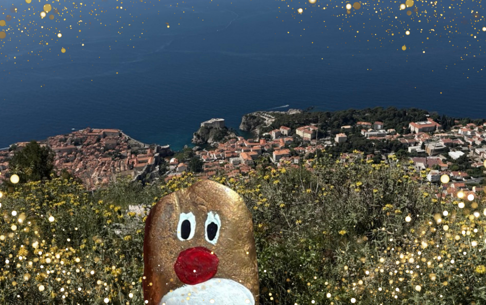 Hand-painted penguin stone #517 hidden at Fort Stone Wall, Dubrovnik, Croatia (photo 1 of 5)