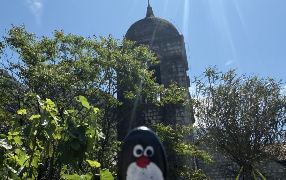 Hand-painted penguin stone #865 hidden at Kotor Town Walls, Kotor, Montenegro (photo 1 of 5)