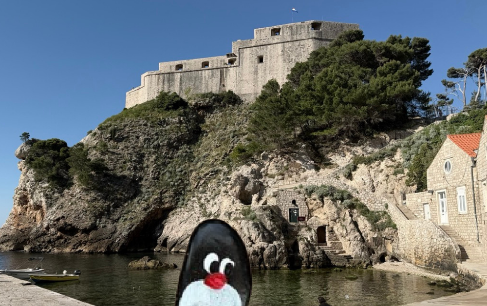 Hand-painted penguin stone #893 hidden at Lovrjenac Fort, Dubrovnik, Croatia (photo 1 of 5)