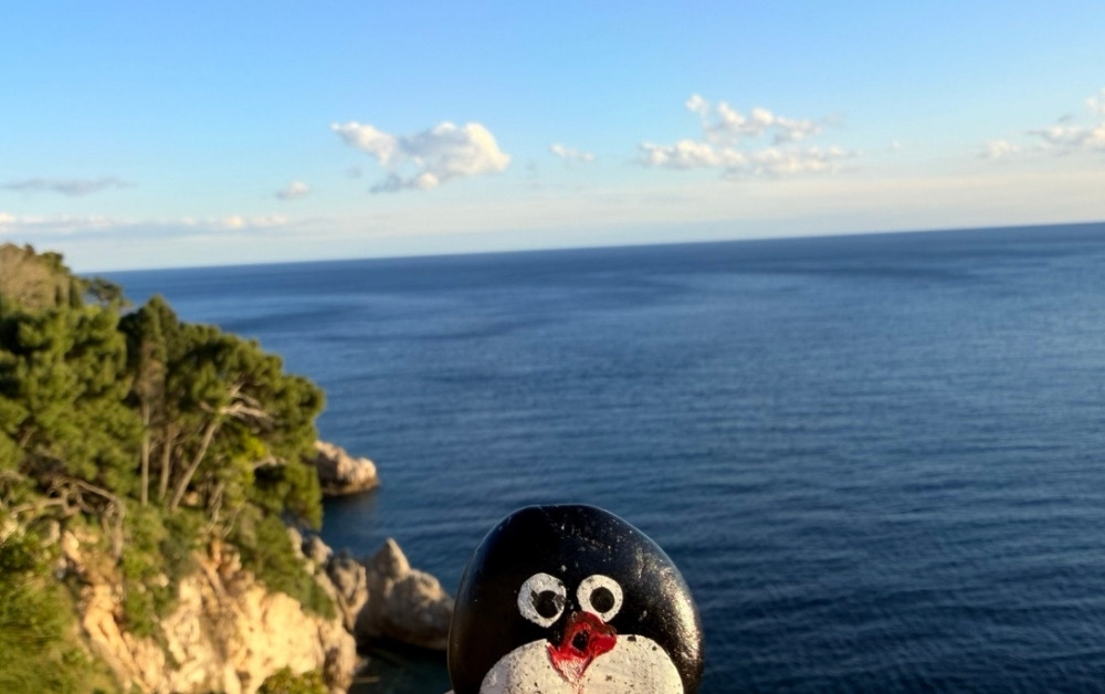 Hand-painted penguin stone #901 hidden at Dubrovacki Stone Wall, Dubrovnik, Croatia (photo 1 of 5)