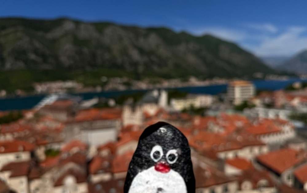 Hand-painted penguin stone #902 hidden at Guardian Cat Viewpoint, Kotor, Montenegro (photo 1 of 5)