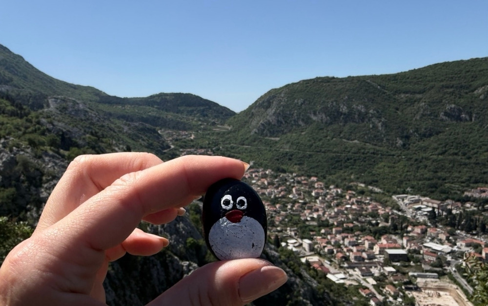 Hand-painted penguin stone #905 hidden at Top of San Giovanni, Kotor, Montenegro (photo 1 of 5)