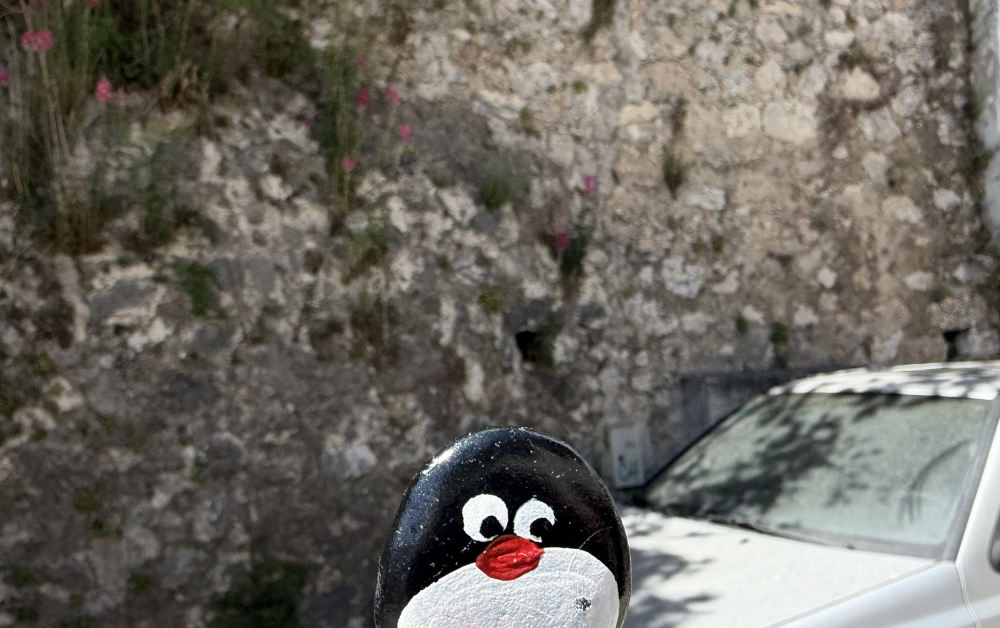 Hand-painted penguin stone #909 hidden at Stone Wall close to Crooked Bridge, Mostar, Bosnia and Herzegovina (photo 1 of 4)