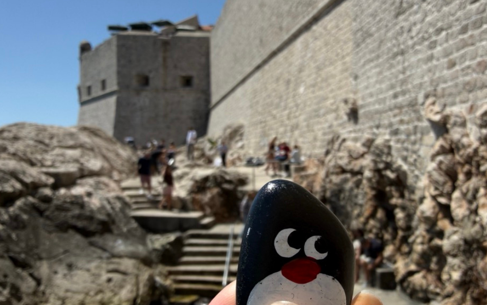 Hand-painted penguin stone #910 hidden at St. John's Fort, Dubrovnik, Croatia (photo 1 of 4)
