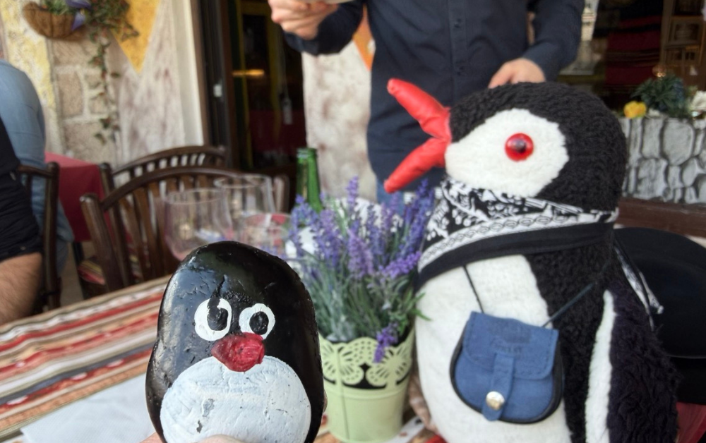 Hand-painted penguin stone #913 hidden at Restaurant Lagero, Mostar, Bosnia and Herzegovina (photo 1 of 5)