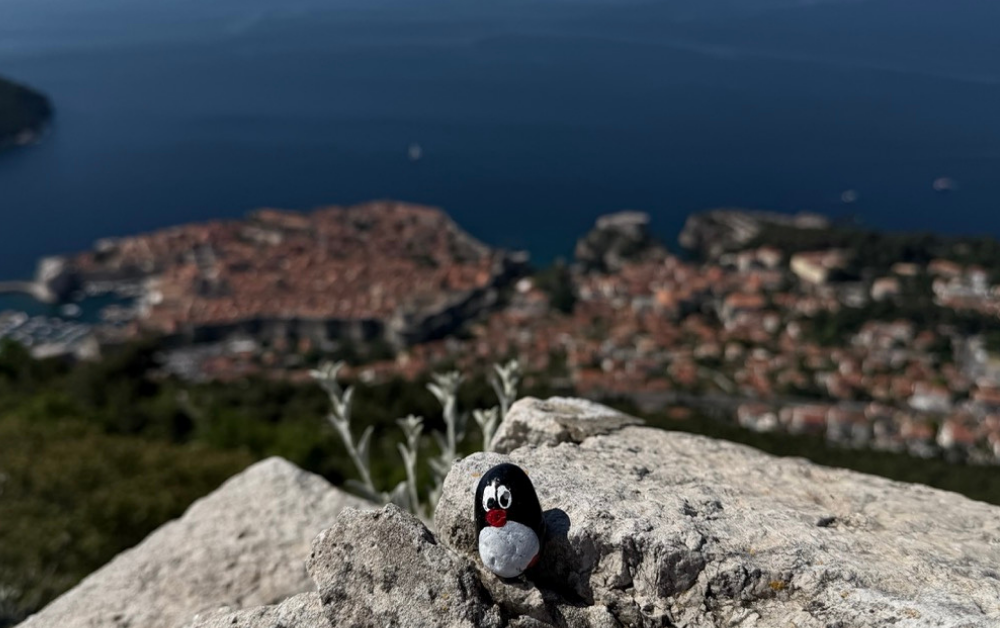 Hand-painted penguin stone #918 hidden at Fortress Imperial, Dubrovnik, Croatia (photo 1 of 5)