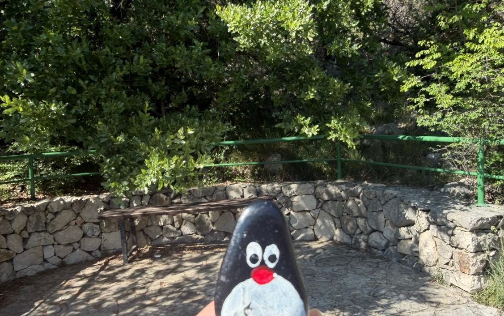 Hand-painted penguin stone #921 hidden at Kravica Waterfalls, Bosnia and Herzegovina (photo 1 of 4)