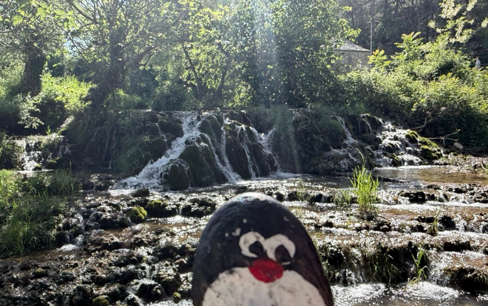 Hand-painted penguin stone #923 hidden at Mini waterfall, Kravica Waterfalls, Bosnia and Herzegovina (photo 1 of 5)