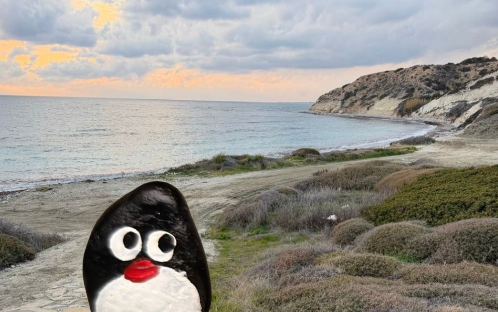 Hand-painted penguin stone #928 hidden at Aphrodite Picknic Spot, Kouklia Community, Cyprus (photo 1 of 5)