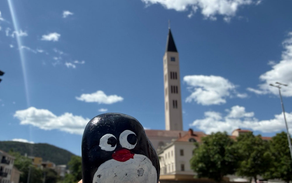 Hand-painted penguin stone #929 hidden at Franjevacka Crkva u Mostaru, Mostar, Bosnia and Herzegovina (photo 1 of 5)