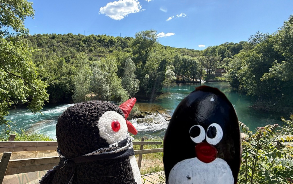 Hand-painted penguin stone #930 hidden at Stone at Kravica Waterfalls, Studenci, Bosnia and Herzegovina (photo 1 of 5)