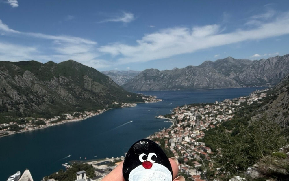Hand-painted penguin stone #934 hidden at Kotor Bay Panorama, Kotor, Montenegro (photo 1 of 5)