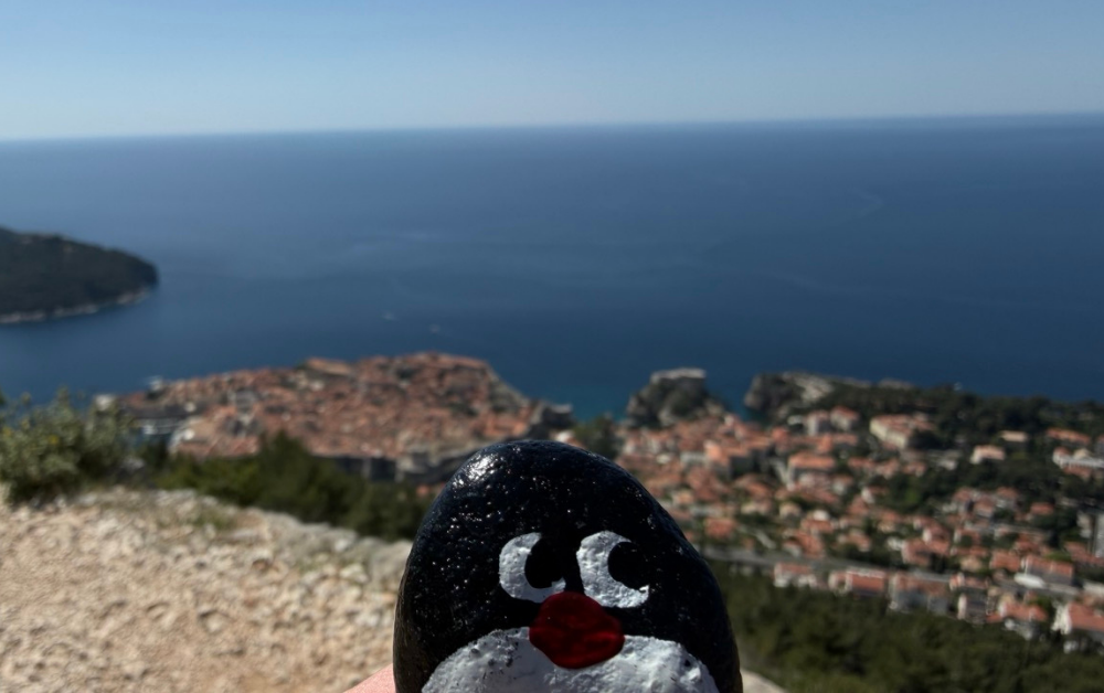 Hand-painted penguin stone #935 hidden at Dubrovnik Stations of the Cross XI, Dubrovnik, Croatia (photo 1 of 5)