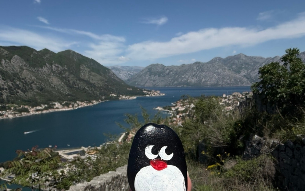 Hand-painted penguin stone #937 hidden at Observation Deck, Kotor, Montenegro (photo 1 of 4)