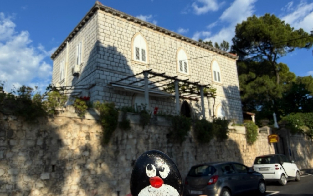 Hand-painted penguin stone #938 hidden at House Boninovo, Dubrovnik, Croatia (photo 1 of 5)