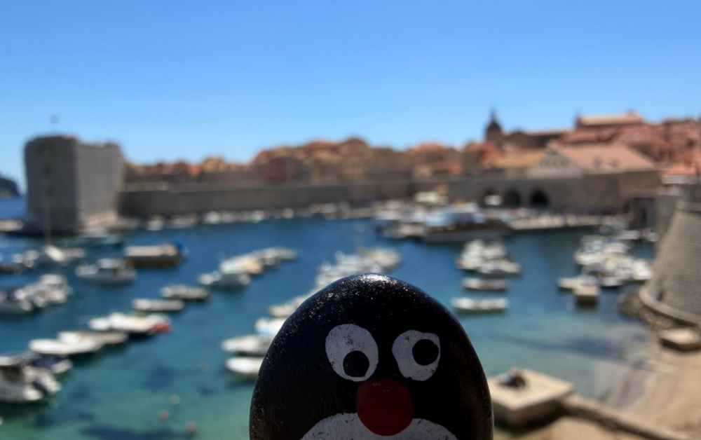 Hand-painted penguin stone #941 hidden at Harbour Viewpoint, Dubrovnik, Croatia (photo 1 of 5)