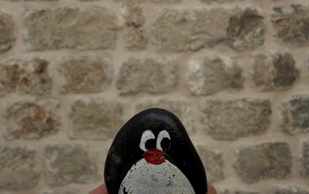Hand-painted penguin stone #943 hidden at Random stone wall, Dubrovnik, Croatia (photo 1 of 4)
