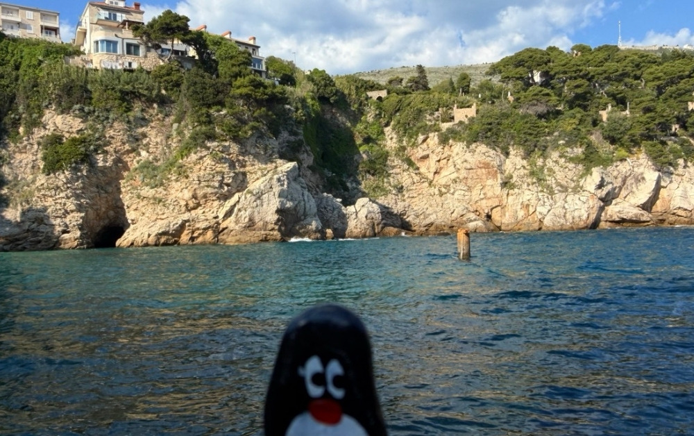 Hand-painted penguin stone #953 hidden at Bellevue Beach, Dubrovnik, Croatia (photo 1 of 5)