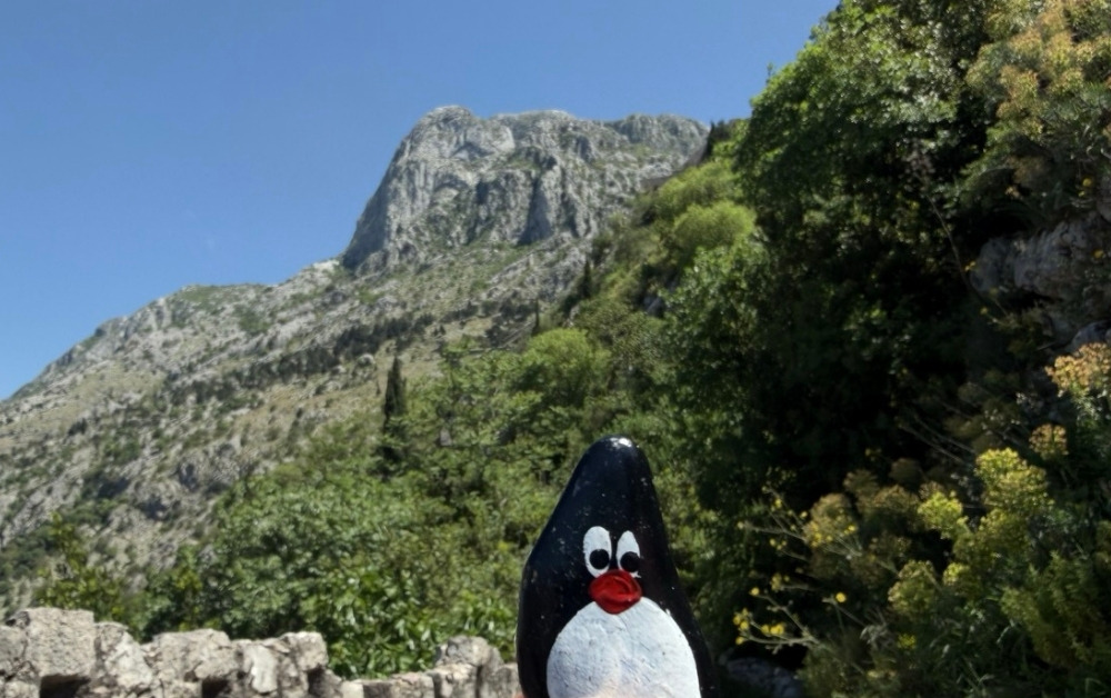 Hand-painted penguin stone #956 hidden at Entrance (II) to Fortress, Kotor, Montenegro (photo 1 of 5)