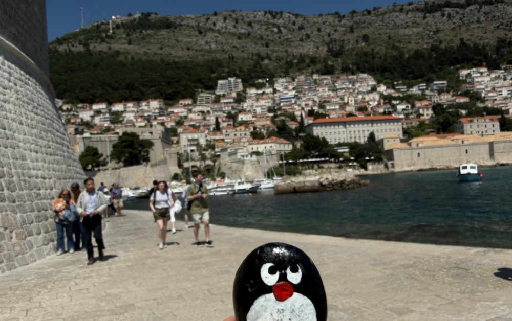 Hand-painted penguin stone #957 hidden at Church of St. Jerome, Dubrovnik, Croatia (photo 1 of 5)