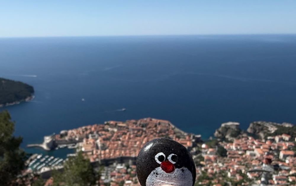 Hand-painted penguin stone #963 hidden at Viewing Platform at Mount Srd, Dubrovnik, Croatia (photo 1 of 4)