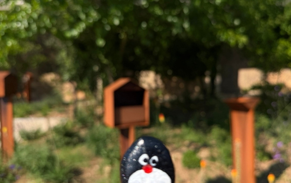 Hand-painted penguin stone #966 hidden at Park, Dubrovnik, Croatia (photo 1 of 5)